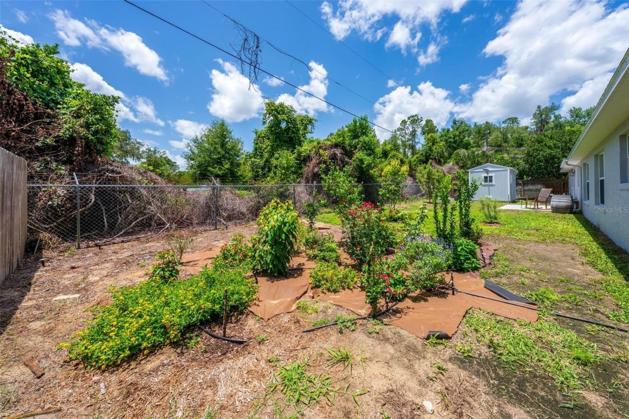 12854 NE 118th Terrace , Ocklawaha, FL 32179 Photo