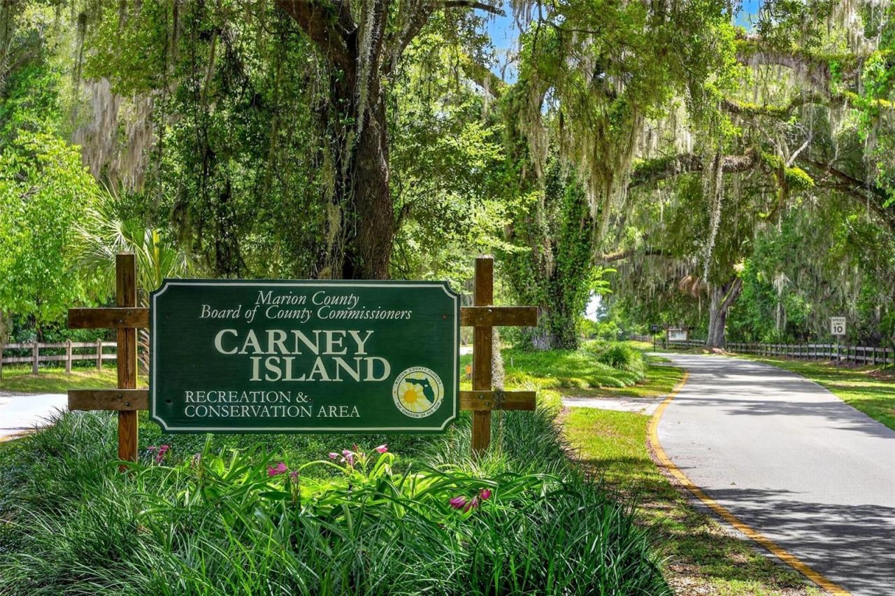 12854 NE 118th Terrace , Ocklawaha, FL 32179 Photo