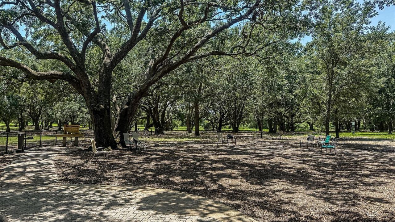 395 Cornerstone Drive, Groveland, FL 34736 Photo