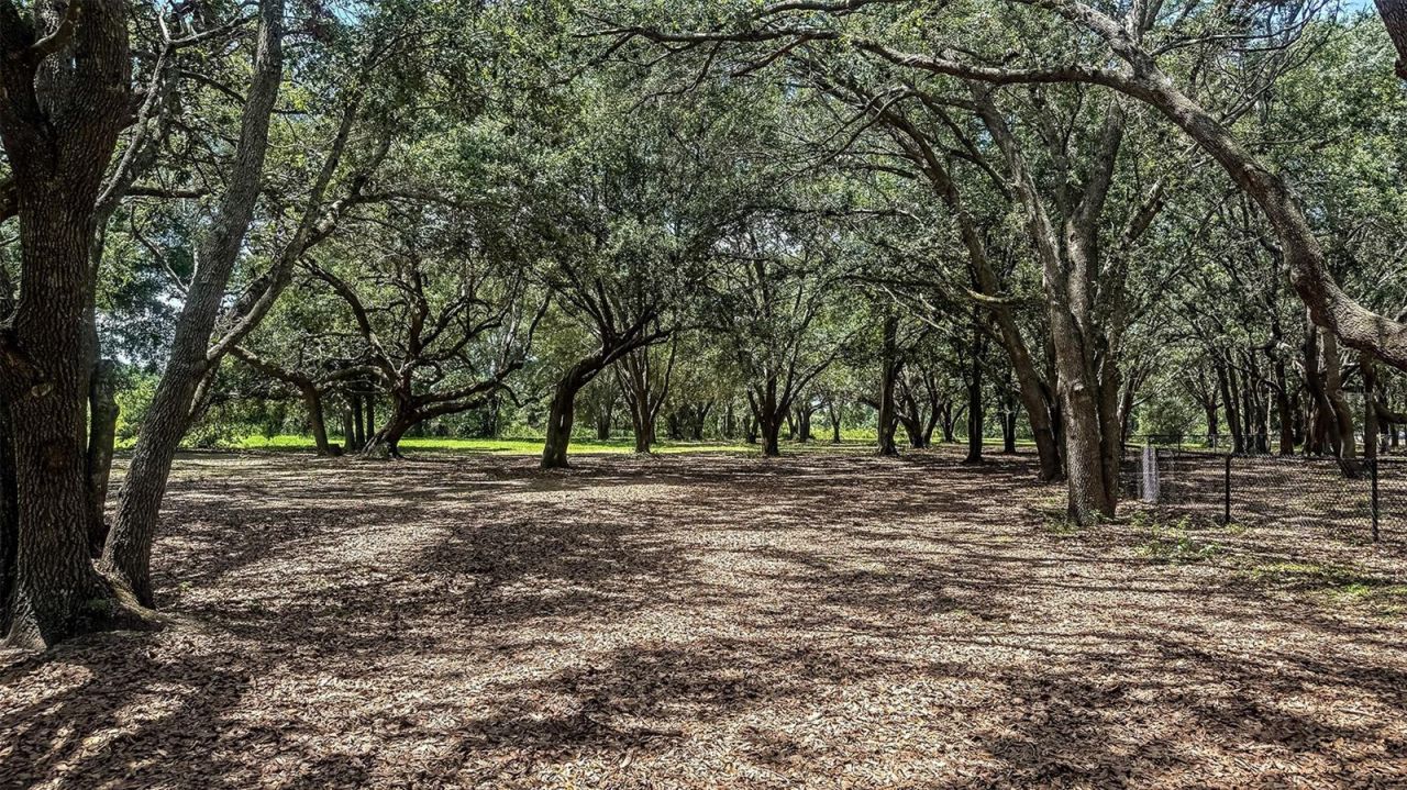 395 Cornerstone Drive, Groveland, FL 34736 Photo