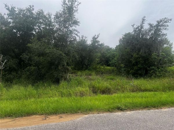 2370 LAKE EASY ROAD , BABSON PARK, FL 33827