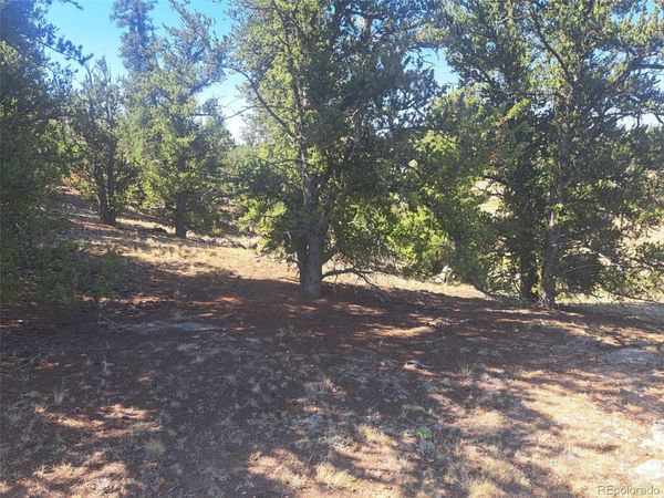 481 Ramrod Way , Como, CO 80432