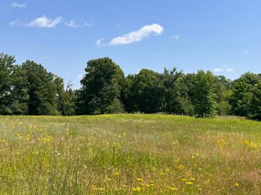 36200 County Road 39, Laporte, MN 56461