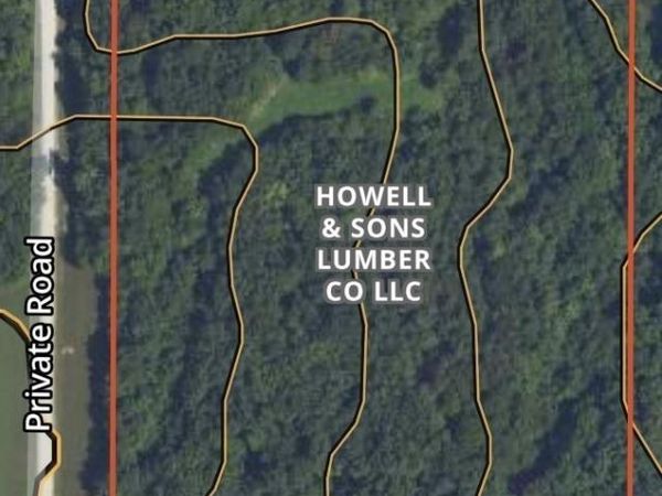 20283 THORN Road, Thompsonville, IL 62890