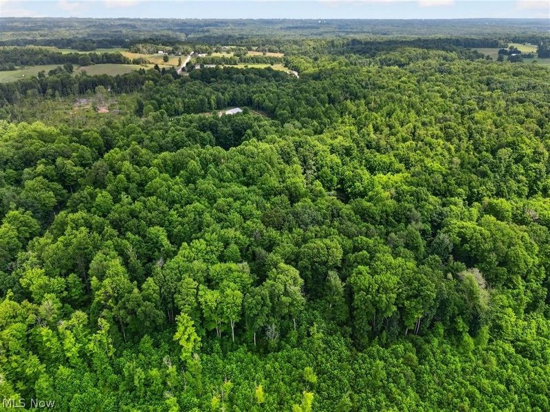 Keefus Road, Conneaut, OH 44030 Photo 10