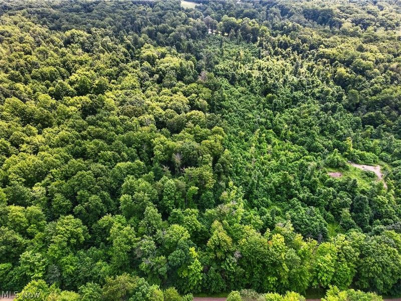 Keefus Road, Conneaut, OH 44030 Photo 2