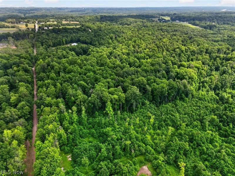 Keefus Road, Conneaut, OH 44030 Photo 3