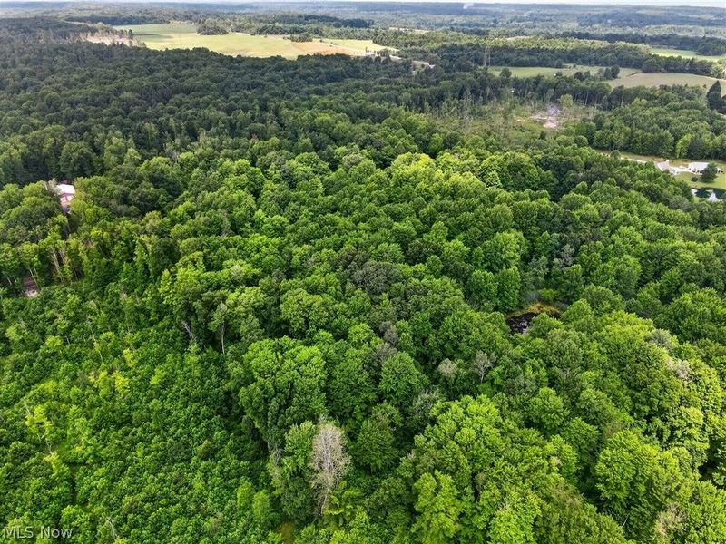 Keefus Road, Conneaut, OH 44030 Photo 4