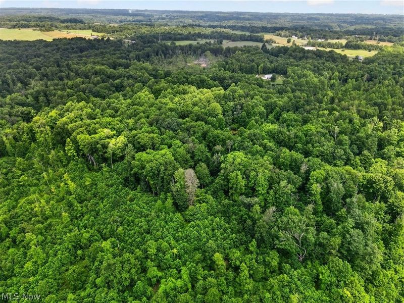 Keefus Road, Conneaut, OH 44030 Photo 5