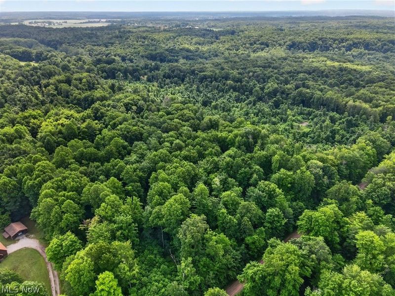 Keefus Road, Conneaut, OH 44030 Photo 6