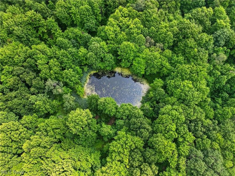 Keefus Road, Conneaut, OH 44030 Photo 7