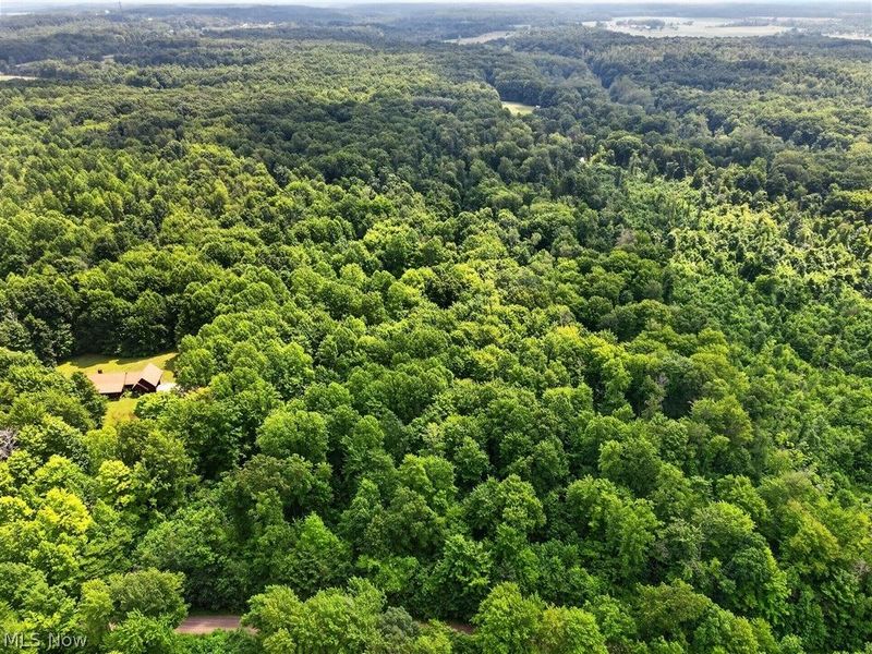 Keefus Road, Conneaut, OH 44030 Photo 8