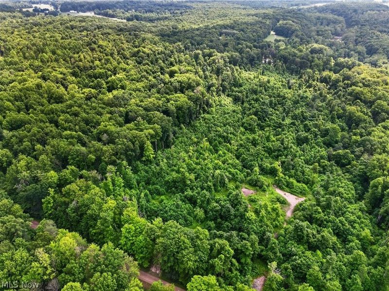 Keefus Road, Conneaut, OH 44030 Photo 9