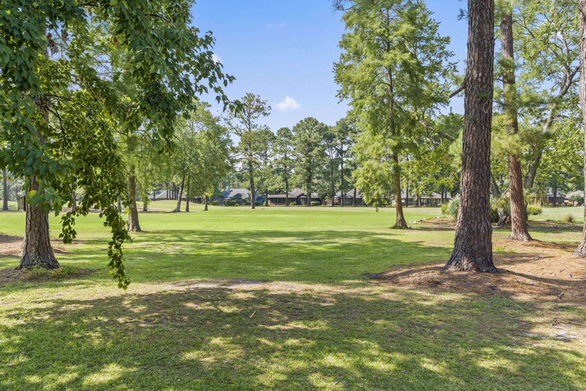 220 Cedar Ridge Ln. Photo 7