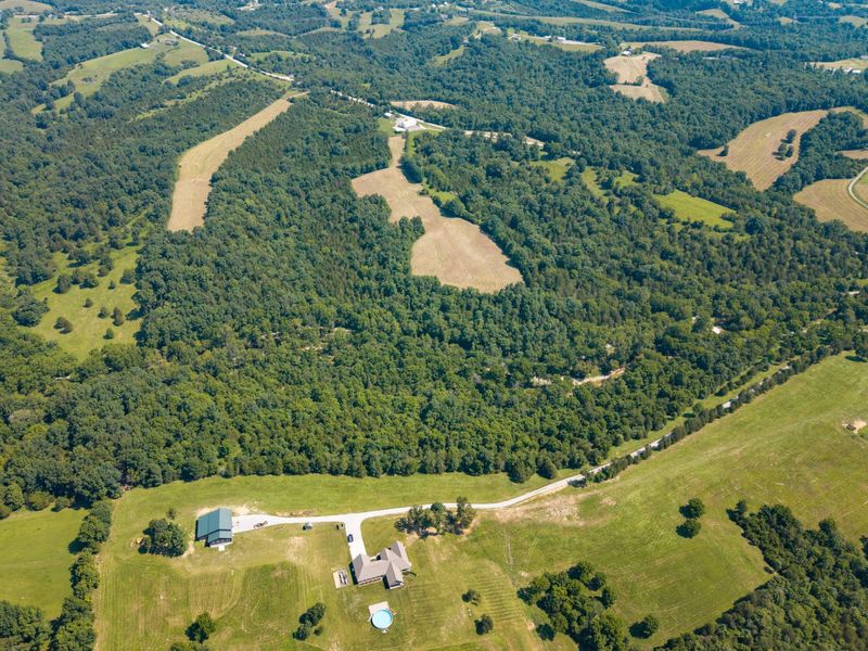 3875 Cordova Road, Williamstown, KY 41097 Photo 11