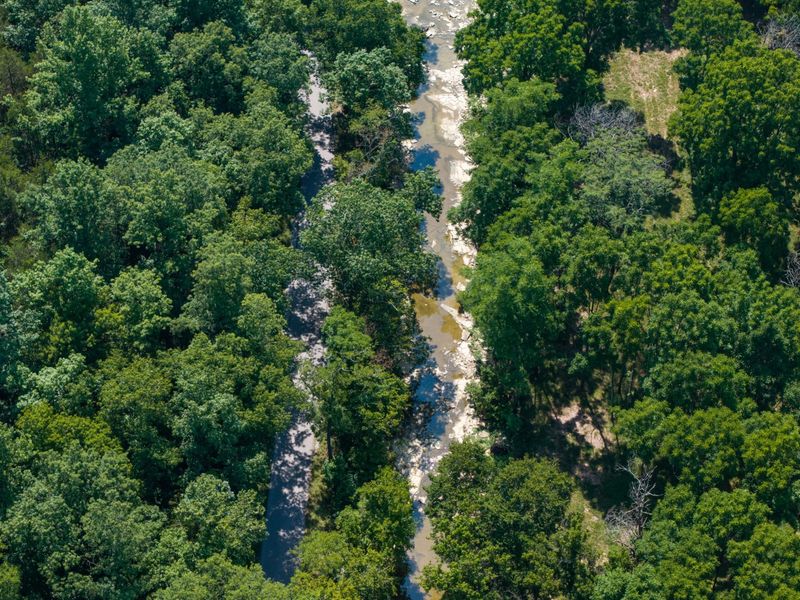 3875 Cordova Road, Williamstown, KY 41097 Photo 15
