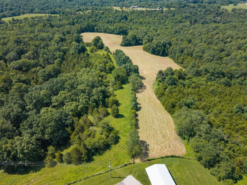 3875 Cordova Road, Williamstown, KY 41097 Photo 17