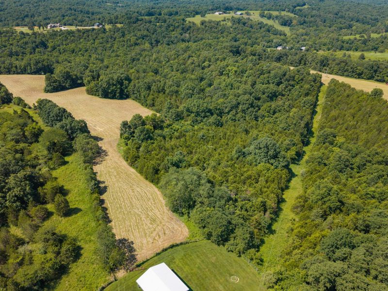3875 Cordova Road, Williamstown, KY 41097 Photo 18