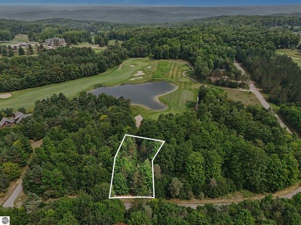 308 Goshawk Way, Bellaire, MI 49615