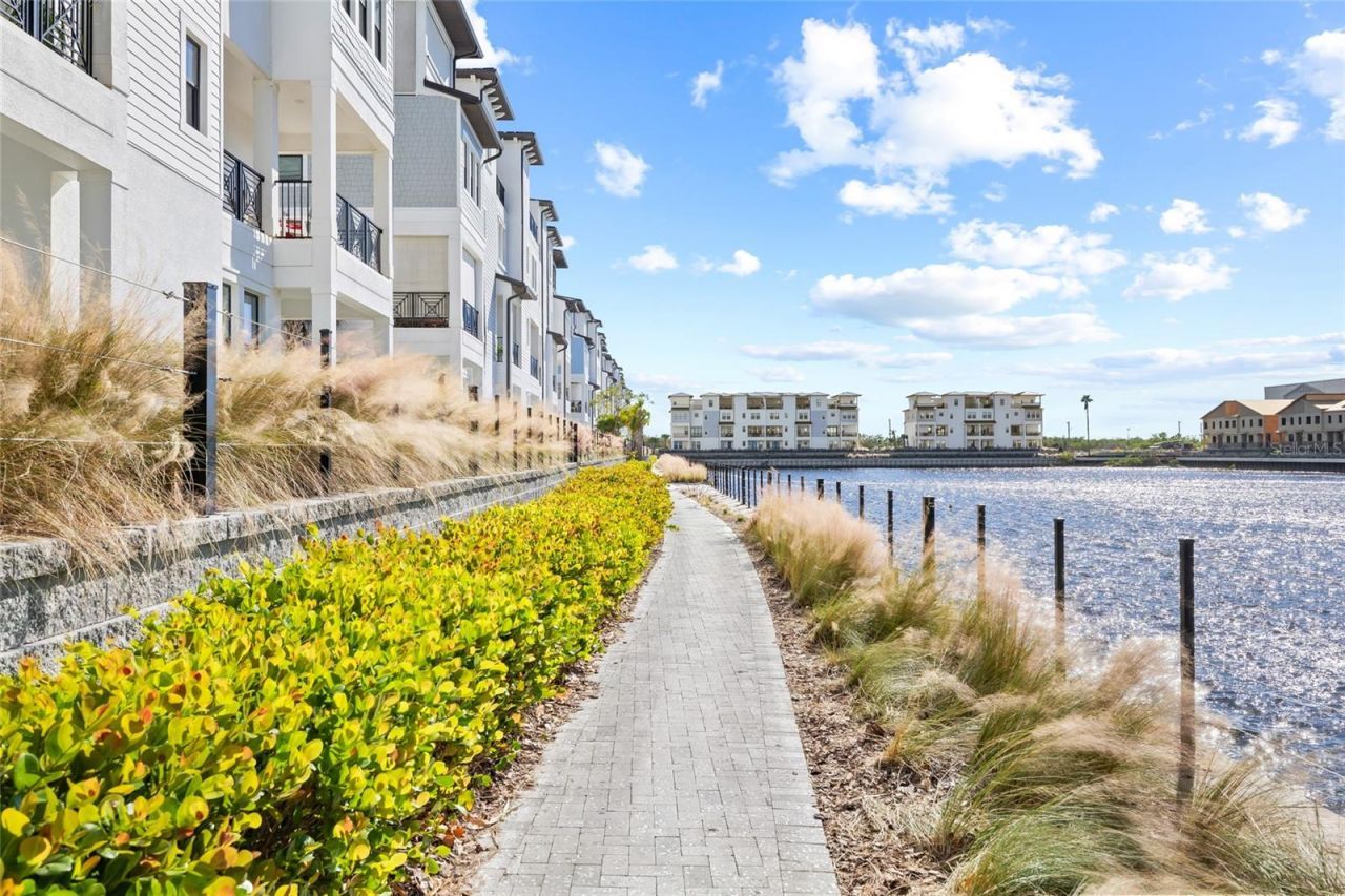 5120 Bridge Street, Unit 5, Tampa, FL 33611 Photo