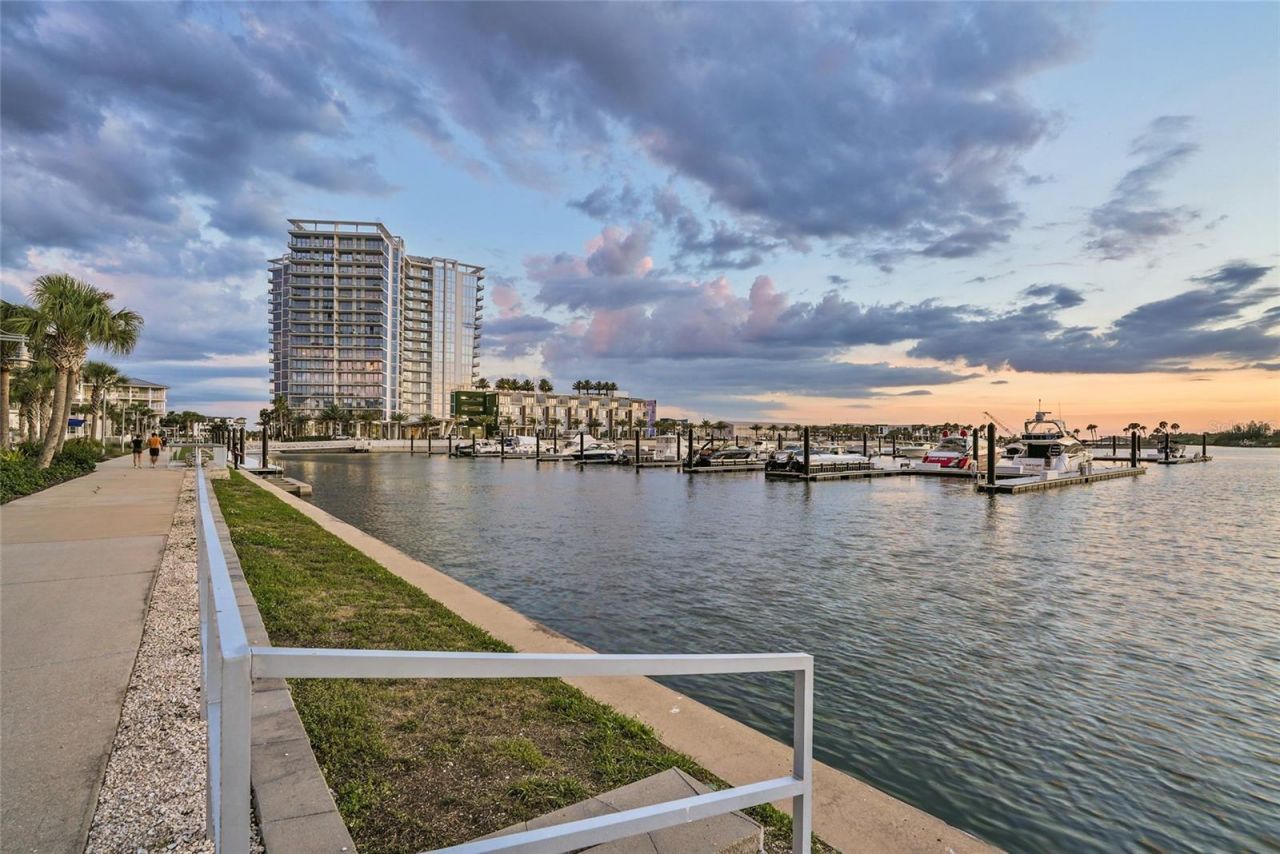 5120 Bridge Street, Unit 5, Tampa, FL 33611 Photo