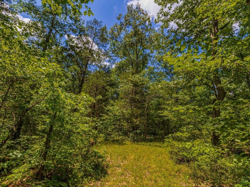 0 Tom Brown Road, Oliver Twp, OH 45697 Photo 6