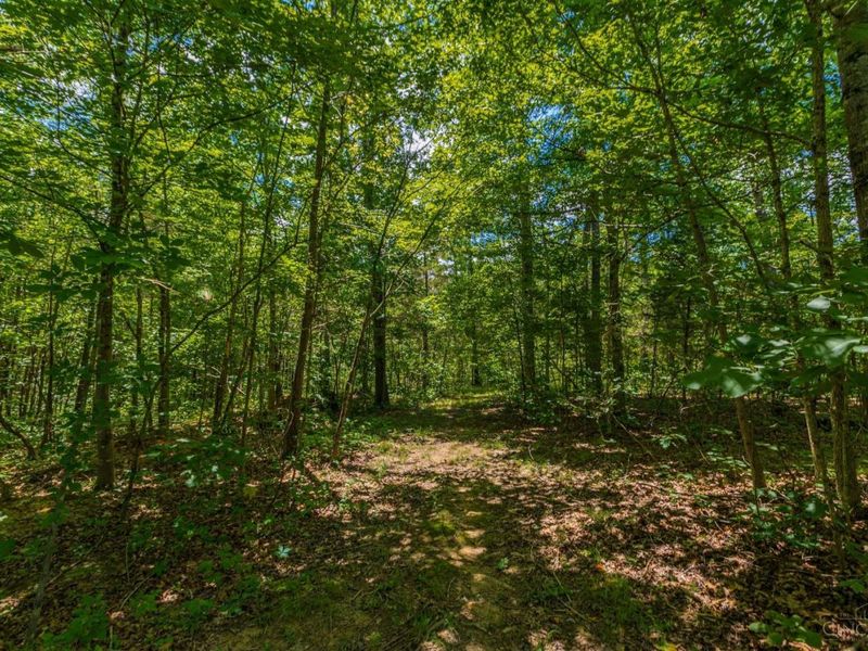 0 Tom Brown Road, Oliver Twp, OH 45697 Photo 8