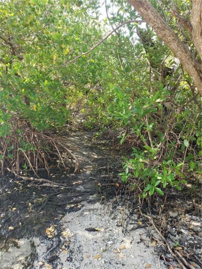 Tbd Masters Landing Dr , Other, FL 33956 Photo