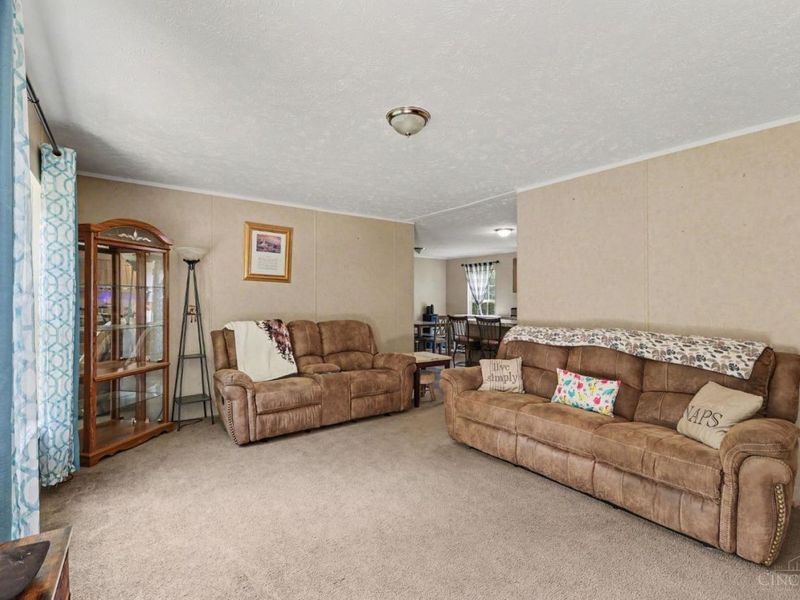 3933 Greenbush East Road, Mount Orab, OH 45154 Photo 3