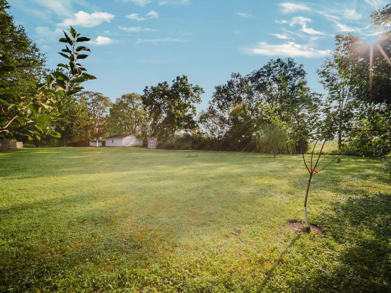 170 Amity Road, Galloway, OH 43119 Photo 37