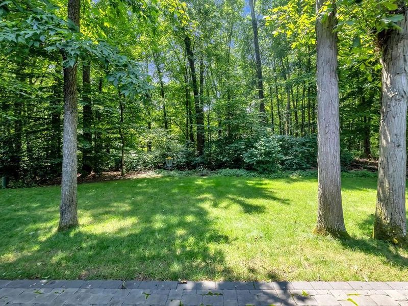 6319 Lake Mathias Drive, New Albany, OH 43054 Photo 53