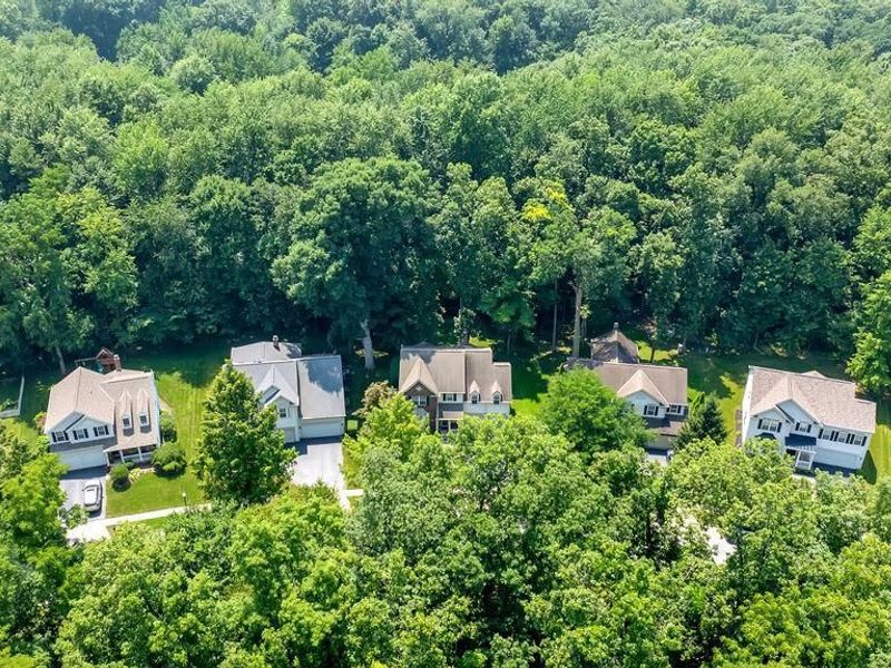 6319 Lake Mathias Drive, New Albany, OH 43054 Photo 62