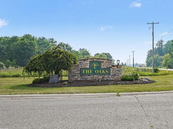 Buckthorn Street, Mt Pleasant, MI 48858