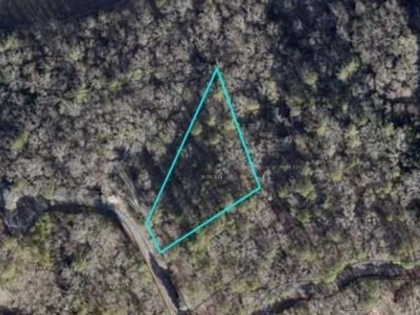 LT941 Myna Drive, Ellijay, GA 30540