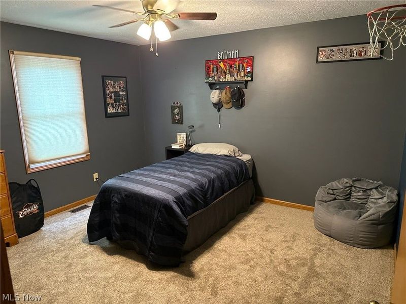 6737 Philip Lane, Wooster, OH 44691 Photo 17