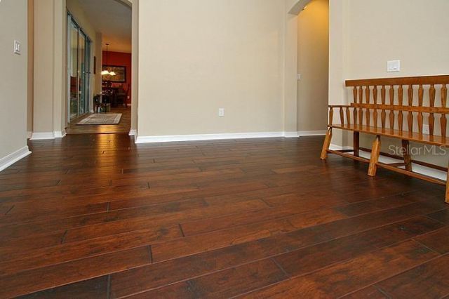 1195 Lattimore Drive, Clermont, FL 34711 Photo