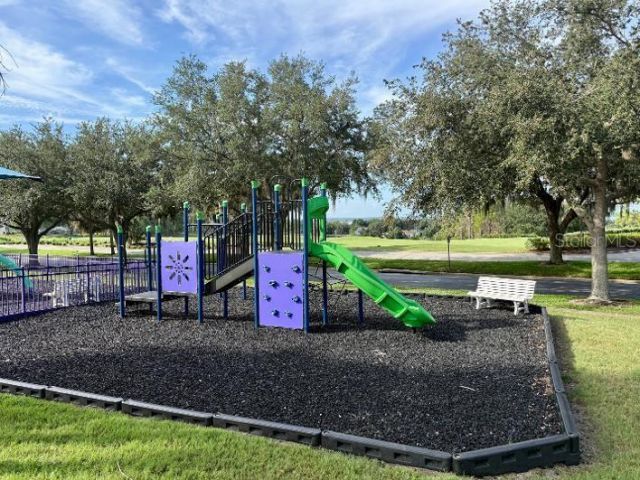 1195 Lattimore Drive, Clermont, FL 34711 Photo