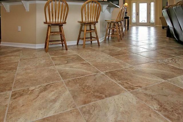 1195 Lattimore Drive, Clermont, FL 34711 Photo