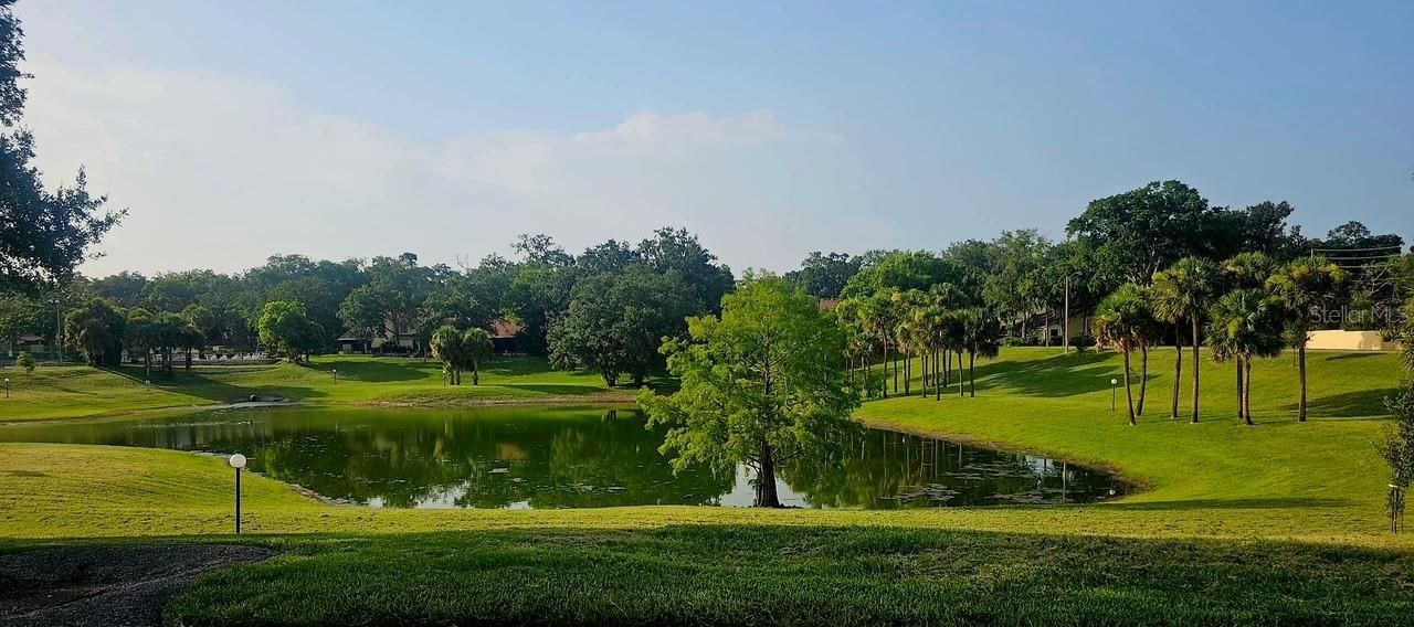 204 Tern Lane, Altamonte Springs, FL 32701 Photo