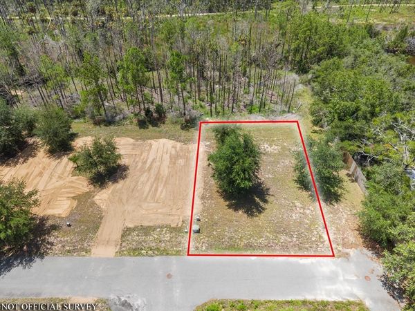 SW 294th Ave, Steinhatchee, FL 32359