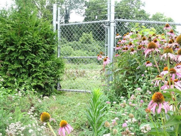 3587 Alaska Avenue, Cincinnati, OH 45229