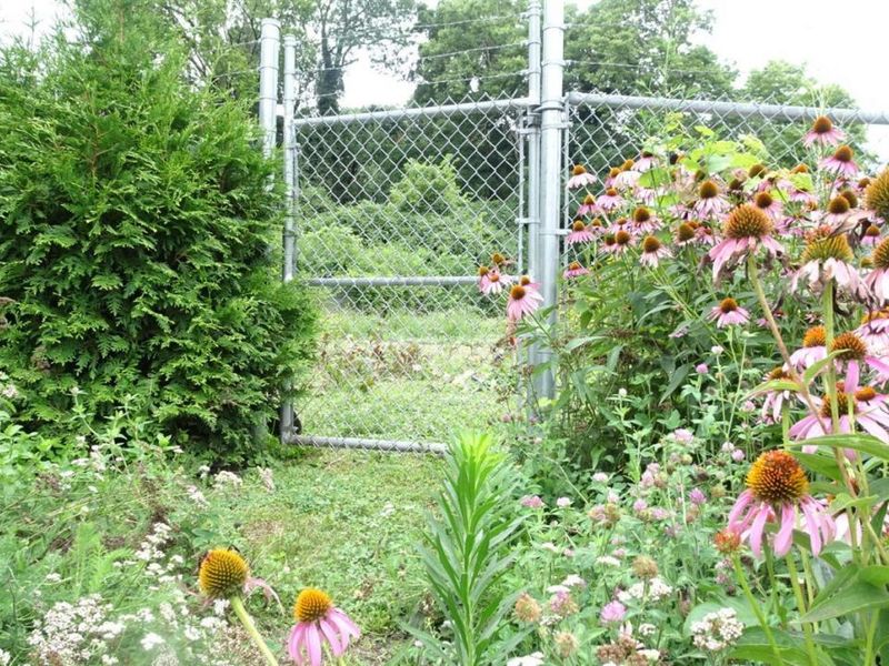 3587 Alaska Avenue, Cincinnati, OH 45229 Photo 1