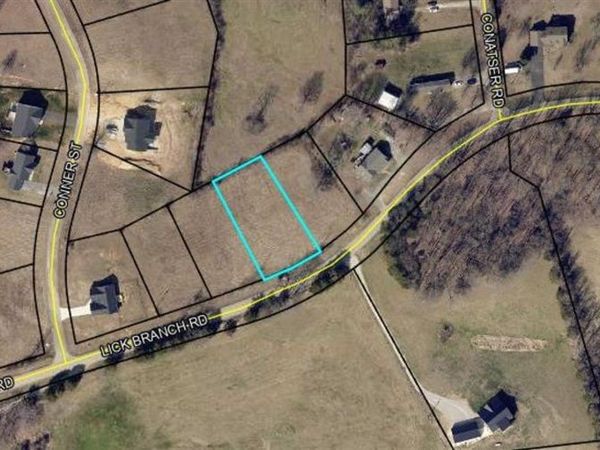 Lot 2 Lick Branch Road , Glasgow, KY 42141