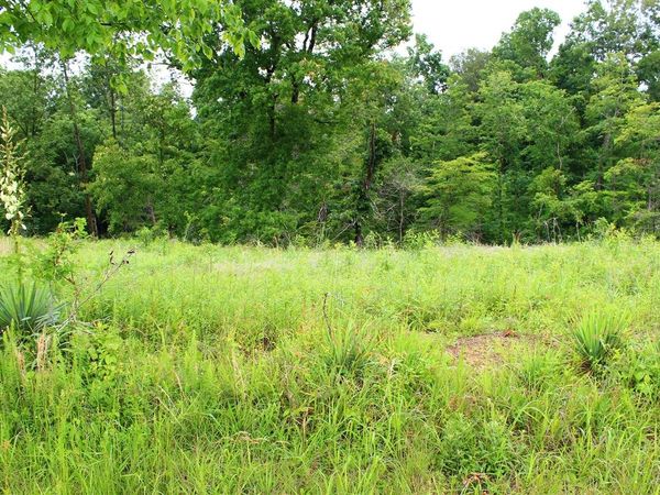 3B Halifax Bailey Road , Scottsville, KY 42164