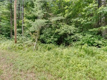 Stone Road , Harrisville, NY 13648