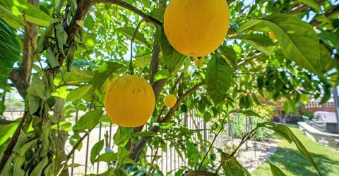 849 Sheffield Ln, Lincoln, CA 95648 Photo
