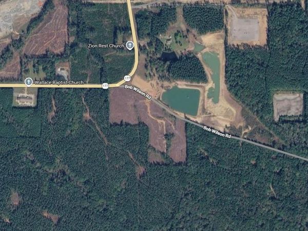 0 Bob Wilson Road , Pelican, LA 71063