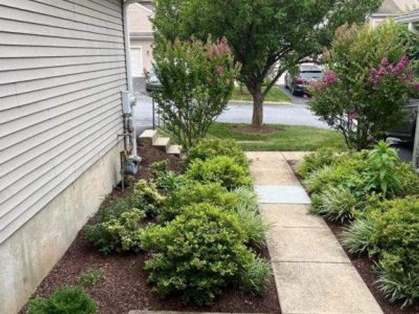121 LEWISVILLE COURT, PHOENIXVILLE, PA 19460