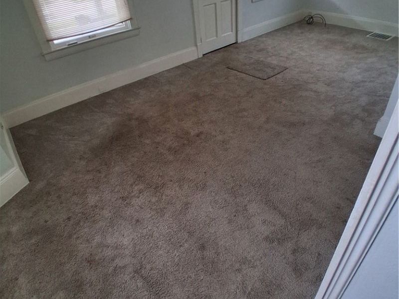 18658 Abby Avenue, Euclid, OH 44119 Photo 9