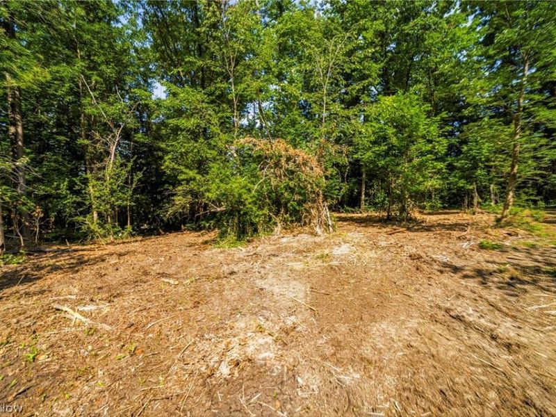 Hanna Road, Willoughby Hills, OH 44094 Photo 10